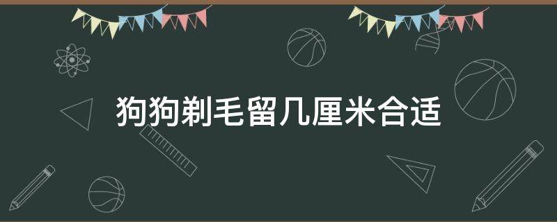 狗狗剃毛留几厘米合适（狗狗剃毛留几厘米合适博美串）