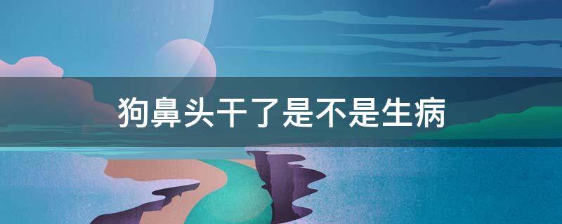 狗鼻头干了是不是生病 狗狗鼻子头干是不是感冒了