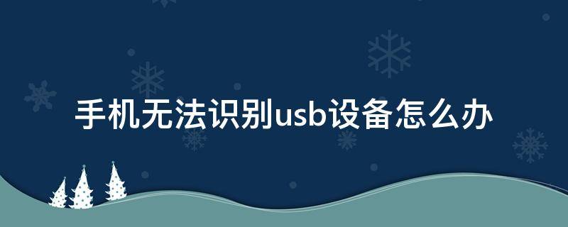 手机无法识别usb设备怎么办（手机无法识别usb设备如何解决）