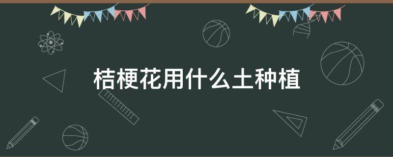 桔梗花用什么土种植（桔梗花怎样种植）