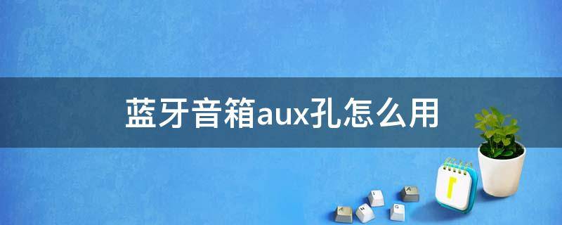 蓝牙音箱aux孔怎么用 蓝牙音箱中的Aux是插什么的