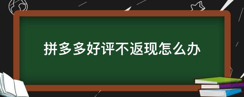 拼多多好评不返现怎么办（拼多多好评返现不返怎么办）