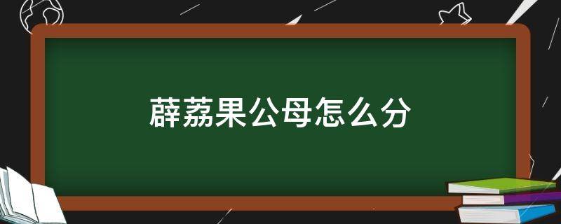 薜荔果公母怎么分 薜荔果怎么分雌果雄果