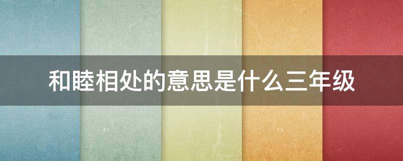 和睦相处的意思是什么三年级 和睦相处怎么造句三年级