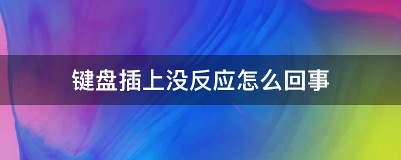 键盘插上没反应怎么回事 台式电脑键盘插上没反应怎么回事