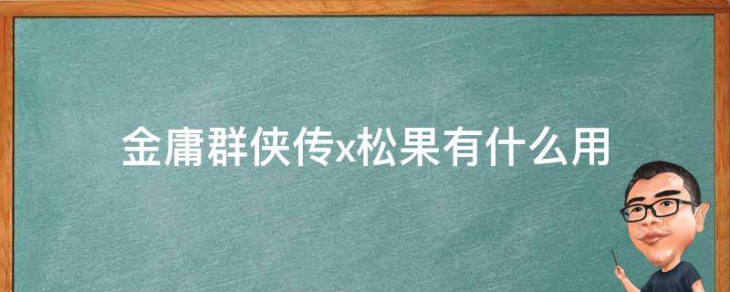 金庸群侠传x松果有什么用（金庸群侠传x 松鼠）