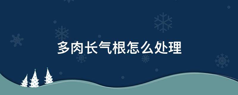 多肉长气根怎么处理 多肉植物长气根处理方法