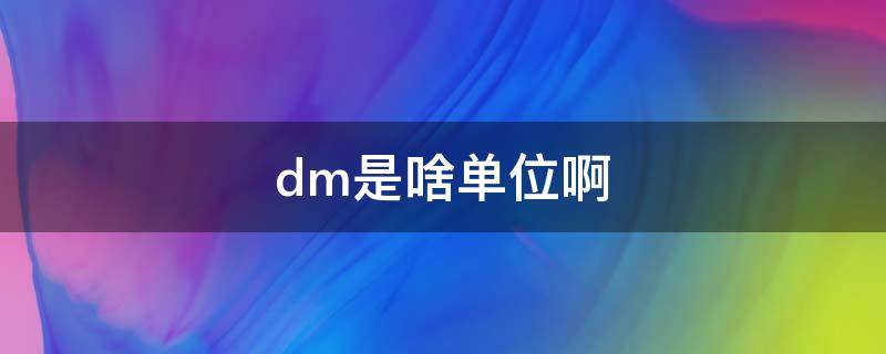 dm是啥单位啊（Dm的单位是什么）