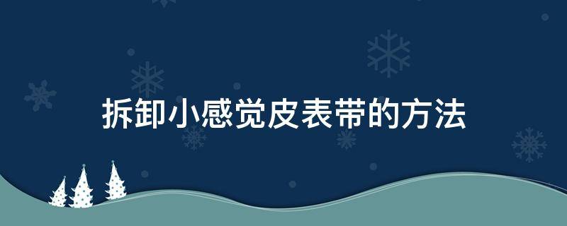 拆卸小感觉皮表带的方法 皮表带怎么拆装