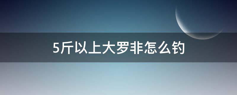 5斤以上大罗非怎么钓 8斤以上大罗非怎么钓