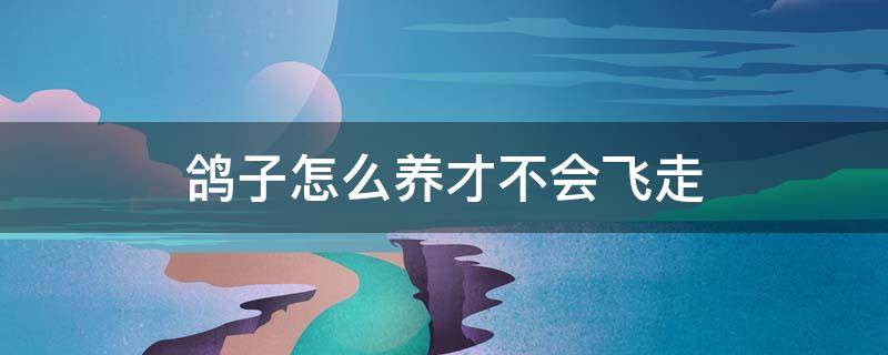 鸽子怎么养才不会飞走 刚买回来的鸽子怎么养才不会飞走