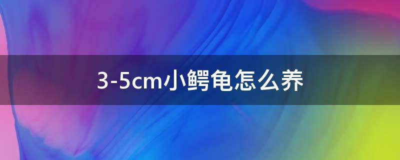 3-5cm小鳄龟怎么养 3-5cm小鳄龟怎么养可以喂熟虾肉吗