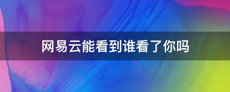 网易云能看到谁看了你吗（网易云可以看到谁在线吗）