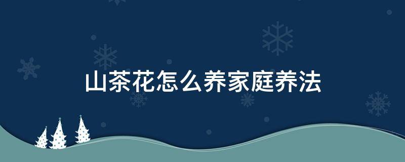 山茶花怎么养家庭养法 山茶花怎么养家庭养法视频