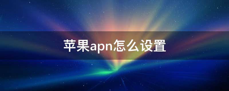 苹果apn怎么设置（苹果apn怎么设置联通）