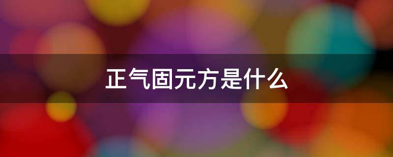 正气固元方是什么（正气固元方是什么中药组成）