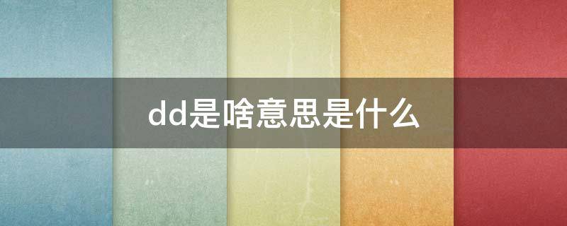 dd是啥意思是什么 DD是什么意思呢