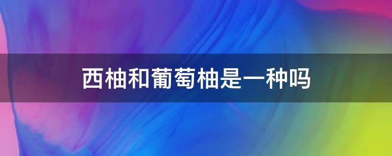 西柚和葡萄柚是一种吗 葡萄柚是西柚的一种吗