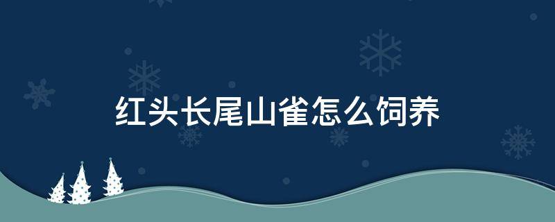 红头长尾山雀怎么饲养（红头长尾山雀如何饲养）