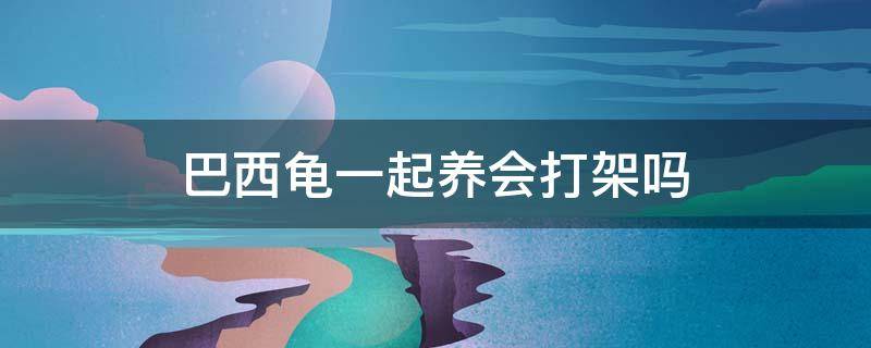 巴西龟一起养会打架吗 巴西龟会不会打架