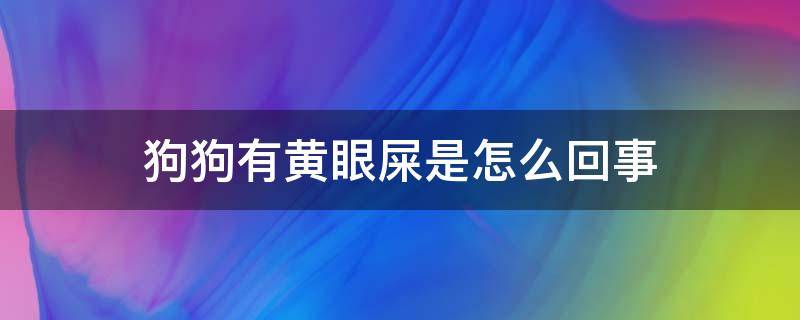 狗狗有黄眼屎是怎么回事 狗狗有黄眼屎是怎么回事,还喷鼻涕