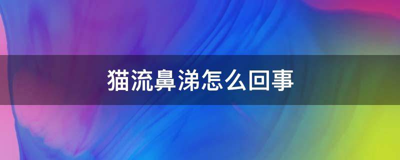 猫流鼻涕怎么回事（两个月大的小猫流鼻涕怎么回事）