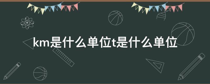 km是什么单位t是什么单位 km表示啥单位