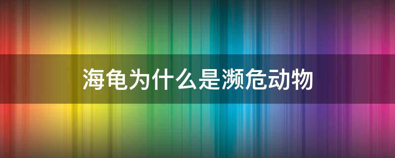 海龟为什么是濒危动物 海龟是濒危物种吗