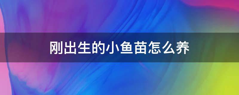 刚出生的小鱼苗怎么养 刚生出来小鱼怎么养