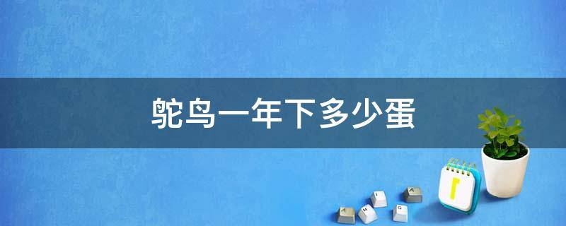 鸵鸟一年下多少蛋 鸵鸟一年下多少蛋多少糖