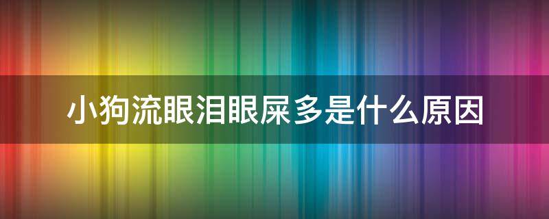 小狗流眼泪眼屎多是什么原因 小狗老是流眼泪和眼屎是怎么回事