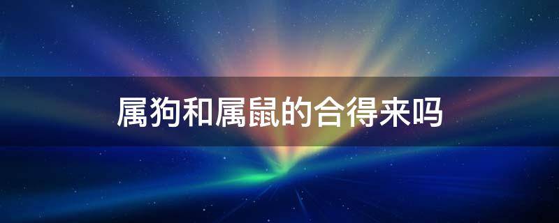 属狗和属鼠的合得来吗 属狗和属鼠的属相合吗