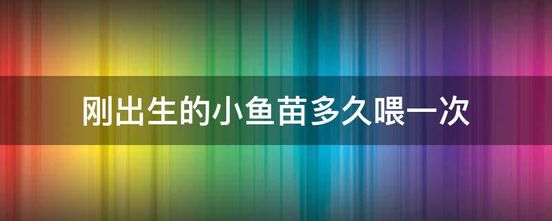 刚出生的小鱼苗多久喂一次 小鱼苗出生几天可以喂食