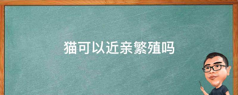 猫可以近亲繁殖吗 猫和猫可以近亲繁殖吗