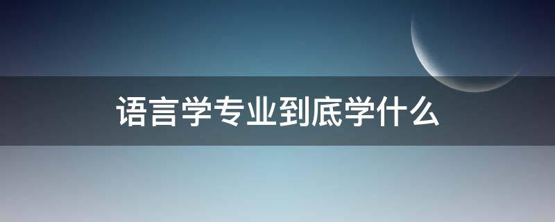 语言学专业到底学什么 语言学本科专业学什么