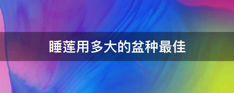 睡莲用多大的盆种最佳 睡莲多大尺寸盆养合适?