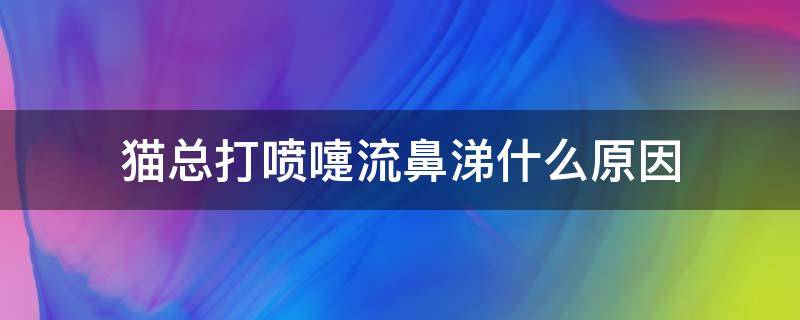 猫总打喷嚏流鼻涕什么原因 猫总是打喷嚏流鼻涕怎么回事