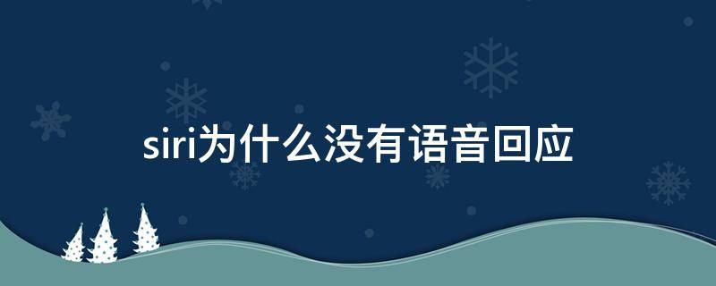 siri为什么没有语音回应（我的siri为什么没有语音回应）