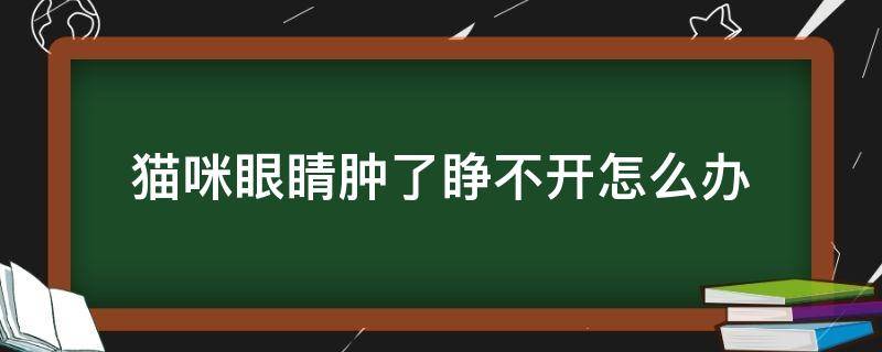 猫咪眼睛肿了睁不开怎么办 猫眼睛肿的睁不开怎么办