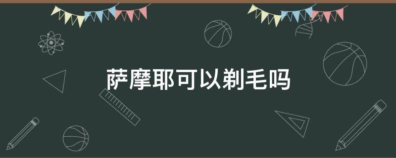 萨摩耶可以剃毛吗 四个月的萨摩耶可以剃毛吗