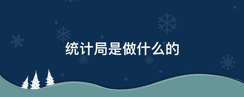 统计局是做什么的（邵阳市统计局是做什么的）