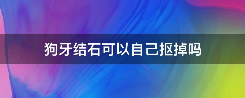 狗牙结石可以自己抠掉吗 如何去掉狗狗的牙结石