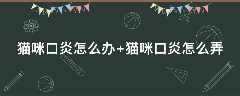 猫咪口炎怎么办 猫咪口炎怎么办吃什么药