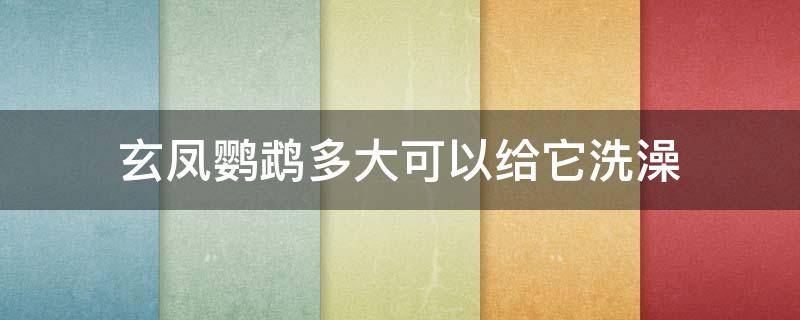 玄凤鹦鹉多大可以给它洗澡（多久给玄凤鹦鹉洗一次澡）