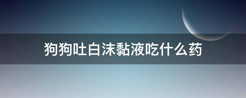 狗狗吐白沫黏液吃什么药（狗狗吐白沫黏液吃什么药金毛）