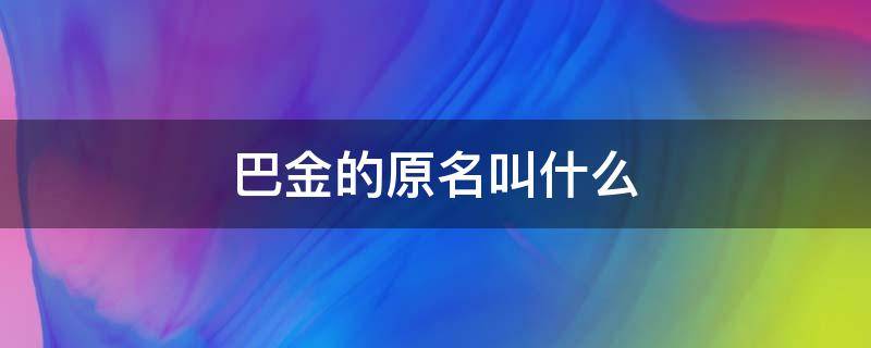 巴金的原名叫什么 作者巴金的原名叫什么