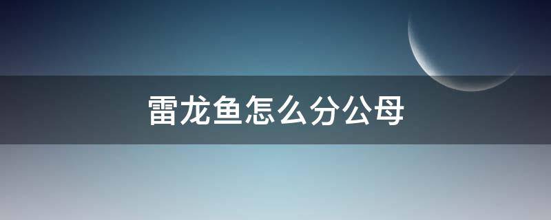 雷龙鱼怎么分公母 鬼王雷龙鱼怎么分公母