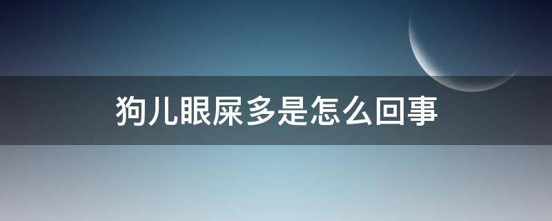 狗儿眼屎多是怎么回事 狗眼屎特别多是怎么回事