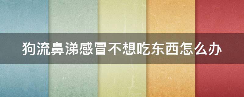 狗流鼻涕感冒不想吃东西怎么办（狗狗感冒流鼻涕不吃东西）