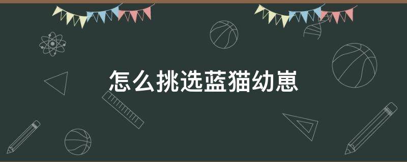 怎么挑选蓝猫幼崽 买蓝猫幼崽要注意什么